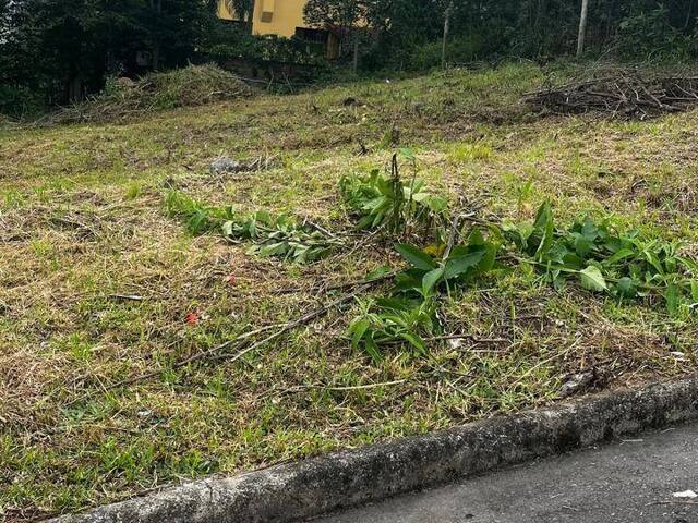 Venda em Bela Vista - Caxias do Sul
