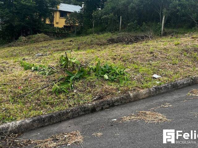 #1924 - Área para Venda em Caxias do Sul - RS