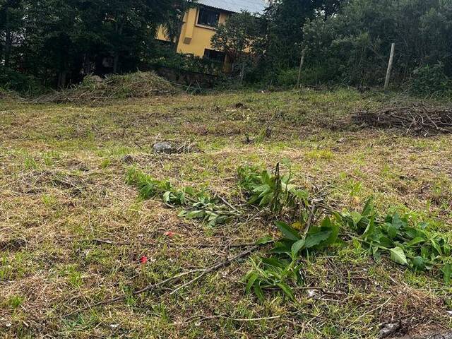 Área para Venda em Caxias do Sul - 5