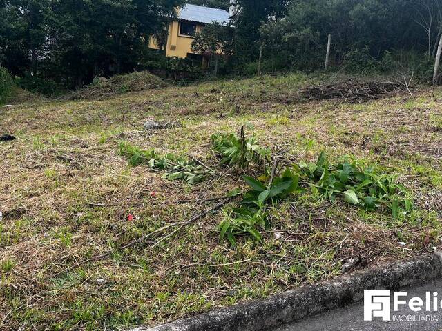 Área para Venda em Caxias do Sul - 4