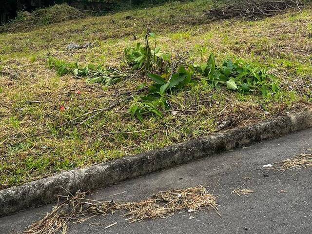#1924 - Área para Venda em Caxias do Sul - RS
