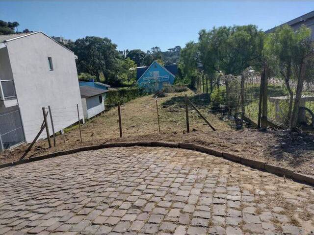 Venda em De Lazzer - Caxias do Sul