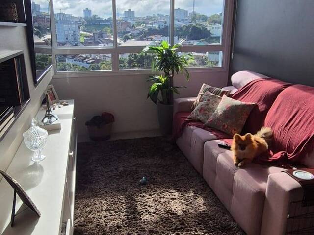 #1947 - Apartamento para Venda em Farroupilha - RS