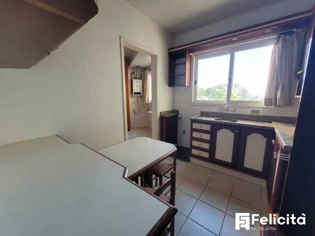 Apartamento para Locação em Caxias do Sul - 5