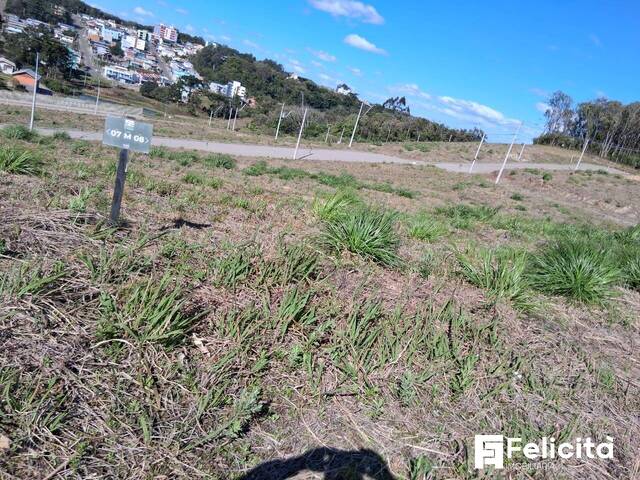 #2056 - Área para Venda em Caxias do Sul - RS