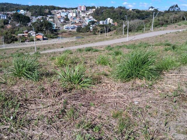#2056 - Área para Venda em Caxias do Sul - RS