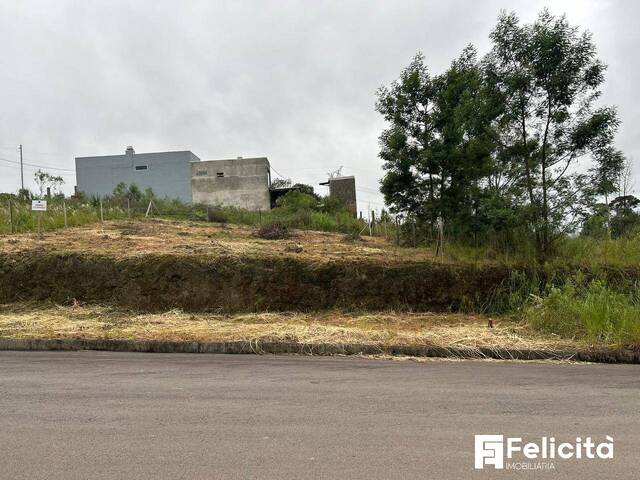#2088 - Área para Venda em Caxias do Sul - RS