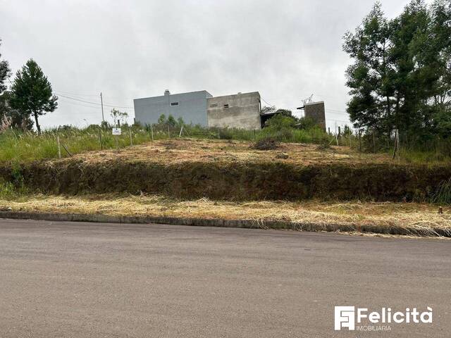 #2088 - Área para Venda em Caxias do Sul - RS