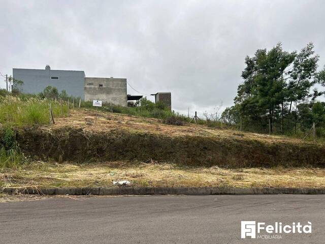 #2088 - Área para Venda em Caxias do Sul - RS