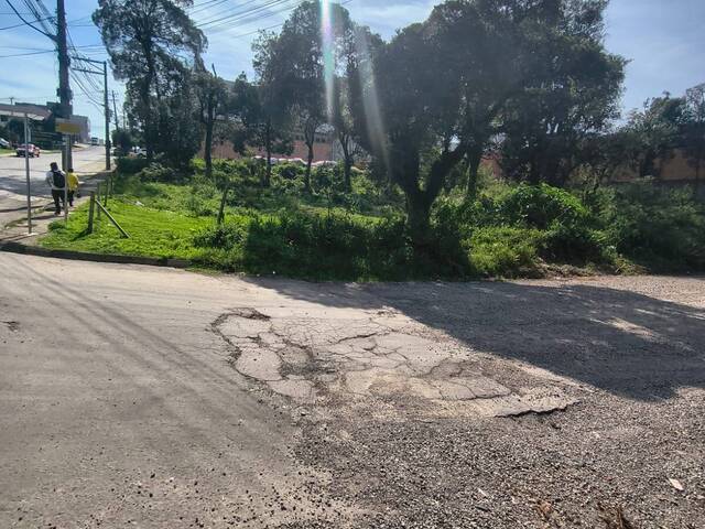 #2089 - Área para Venda em Caxias do Sul - RS