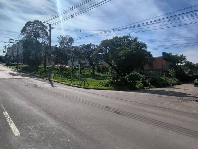 #2089 - Área para Venda em Caxias do Sul - RS