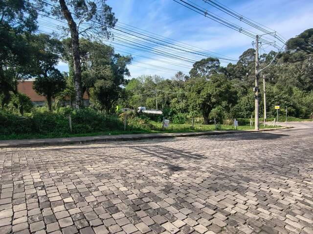 #2089 - Área para Venda em Caxias do Sul - RS