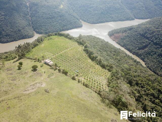#2093 - Chácara para Venda em Caxias do Sul - RS