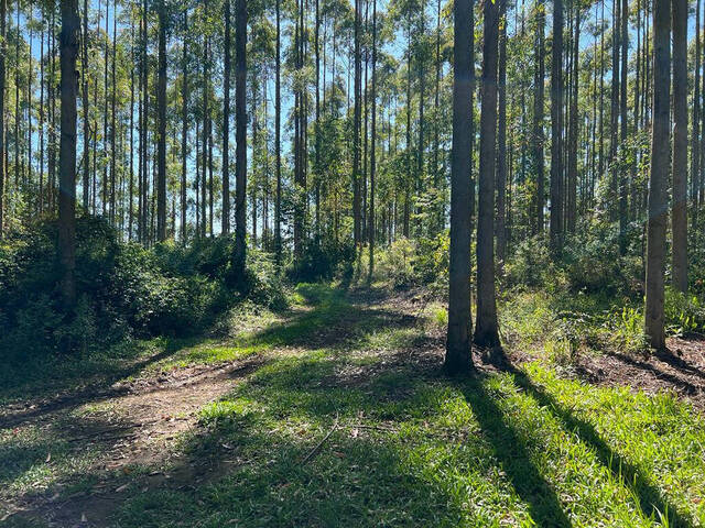 #89 - Chácara para Venda em Farroupilha - RS