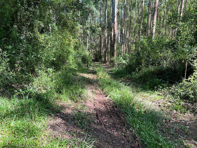 #89 - Chácara para Venda em Farroupilha - RS