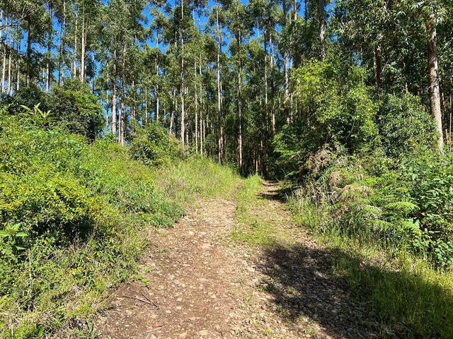 #89 - Chácara para Venda em Farroupilha - RS