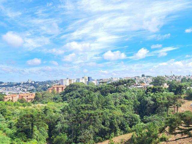 Cobertura para Venda em Caxias do Sul - 2