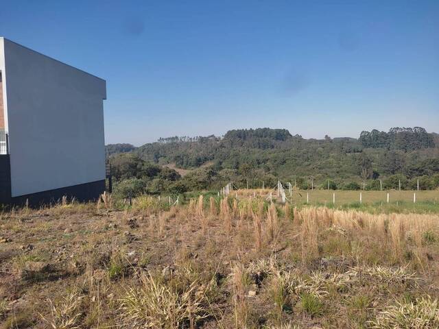 #260 - Área para Venda em Caxias do Sul - RS