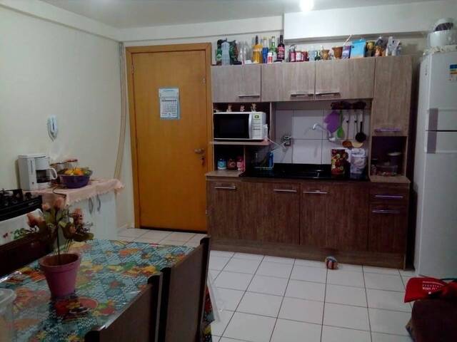 Apartamento para Venda em Caxias do Sul - 2