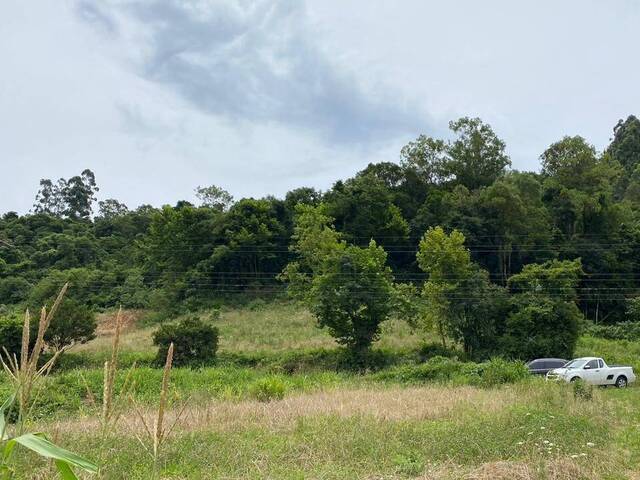 #64 - Chácara para Venda em Caxias do Sul - RS