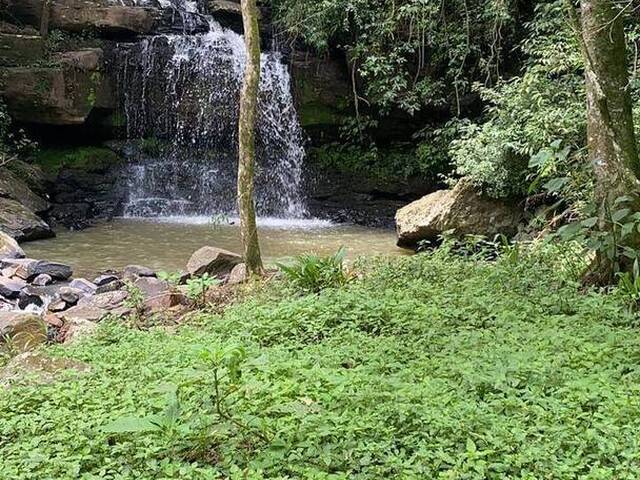 Chácara para Venda em Caxias do Sul - 4