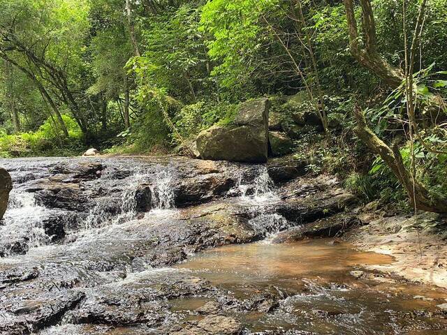 Chácara para Venda em Caxias do Sul - 5