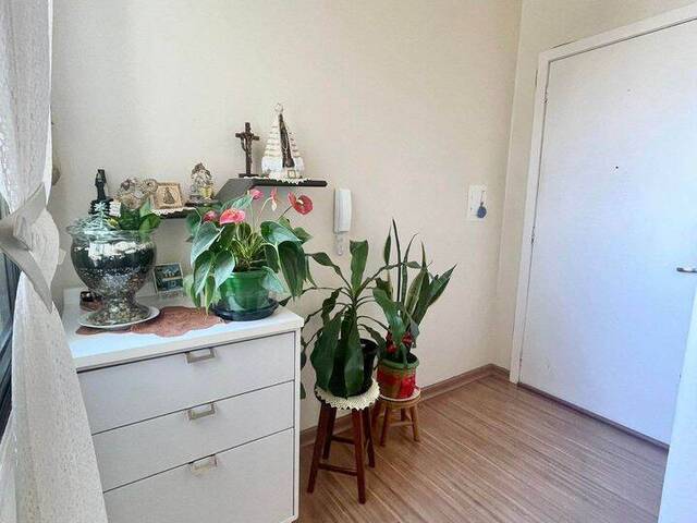 Apartamento para Venda em Caxias do Sul - 2