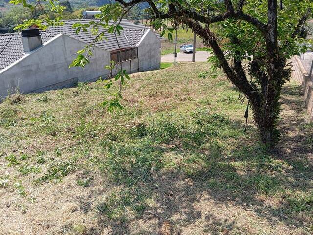 #375 - Área para Venda em Caxias do Sul - RS