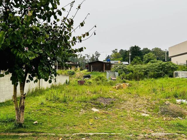 #385 - Área para Venda em Caxias do Sul - RS