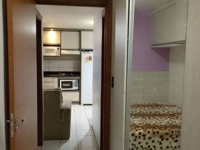 Apartamento para Venda em Caxias do Sul - 4