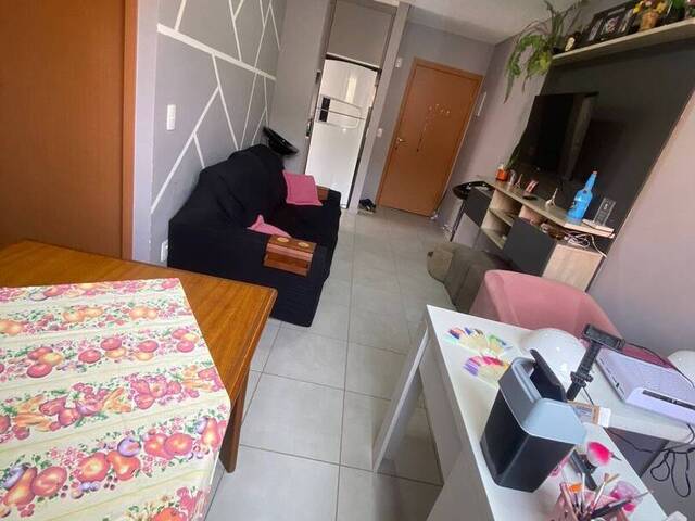 Apartamento para Venda em Caxias do Sul - 2