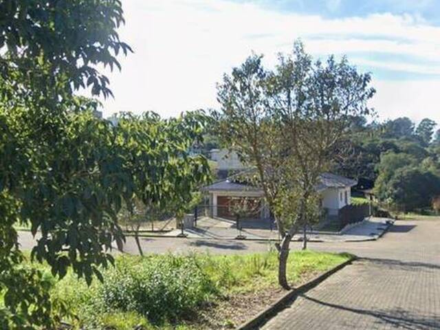 Área para Venda em Caxias do Sul - 5