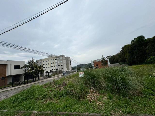 #436 - Chácara para Venda em Caxias do Sul - RS