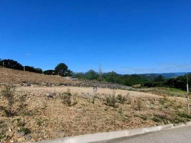 #452 - Área para Venda em Caxias do Sul - RS