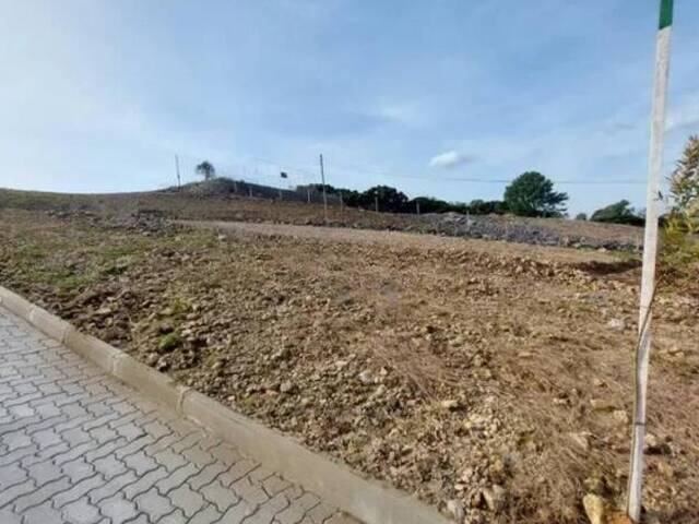 Área para Venda em Caxias do Sul - 4