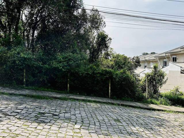 #462 - Área para Venda em Caxias do Sul - RS