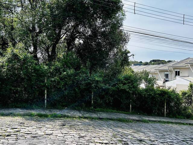 #462 - Área para Venda em Caxias do Sul - RS