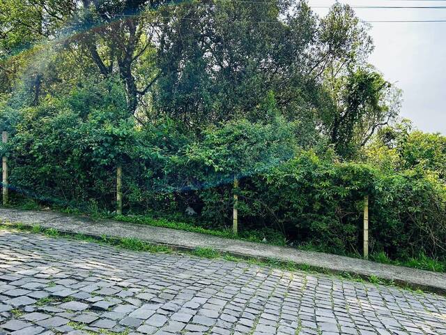 #462 - Área para Venda em Caxias do Sul - RS