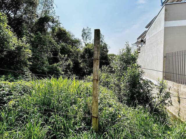 Área para Venda em Caxias do Sul - 4