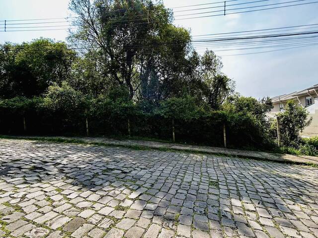 Área para Venda em Caxias do Sul - 5