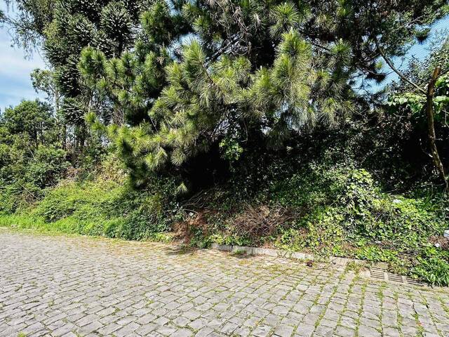 #463 - Área para Venda em Caxias do Sul - RS