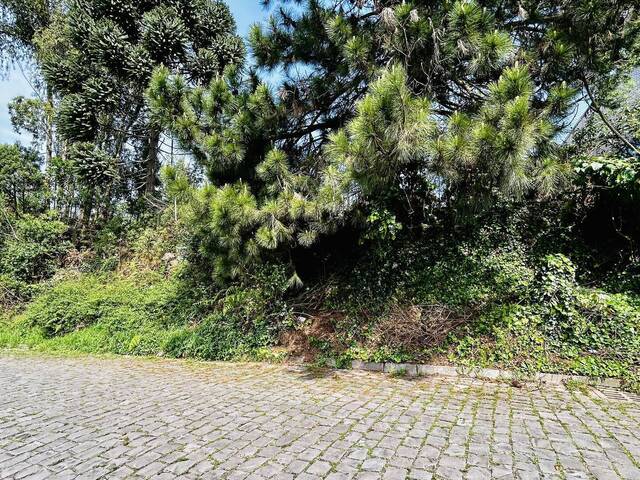 #463 - Área para Venda em Caxias do Sul - RS