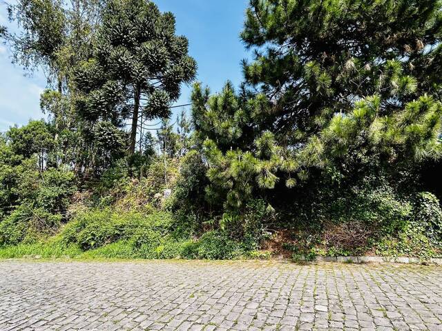 #463 - Área para Venda em Caxias do Sul - RS