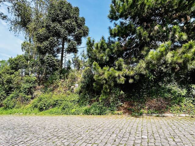 Área para Venda em Caxias do Sul - 4