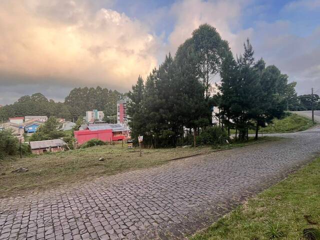 #487 - Área para Venda em Caxias do Sul - RS