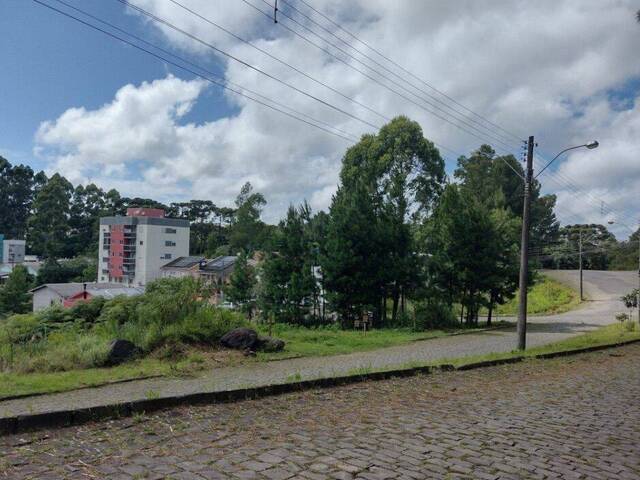 Área para Venda em Caxias do Sul - 4