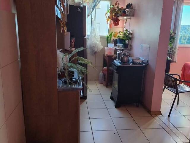 Apartamento para Venda em Caxias do Sul - 3