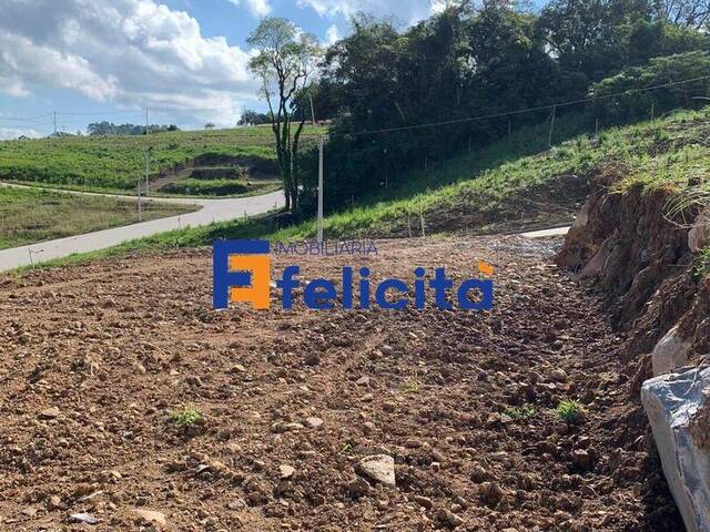 #518 - Área para Venda em Caxias do Sul - RS