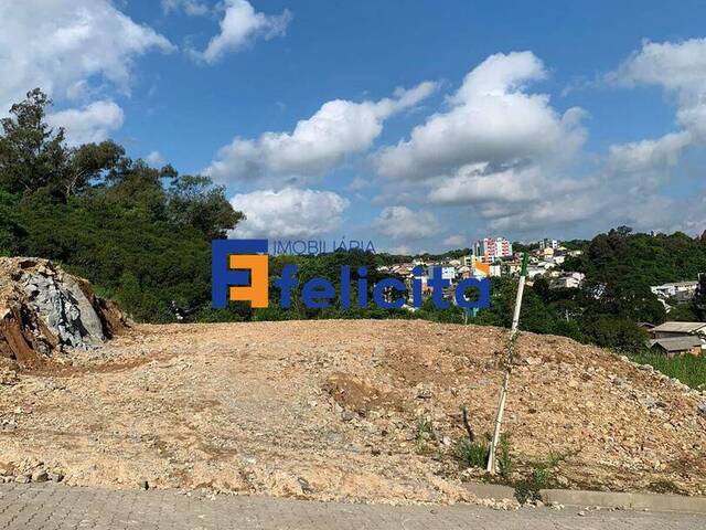 Área para Venda em Caxias do Sul - 4