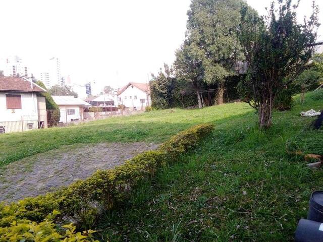 Terreno para Locação em Caxias do Sul - 4